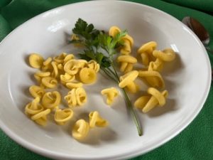funghi groessenvergleich petrapuchbauer