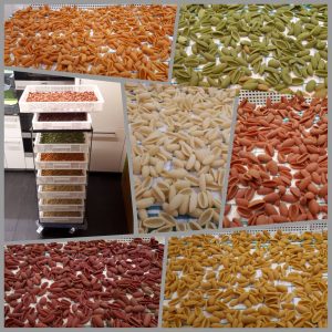 philips pastamaker teig in thermomix andreaarbeiter2